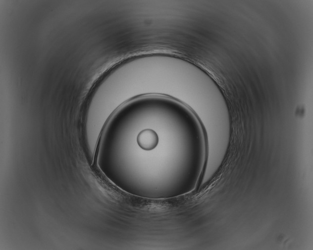 X0000091060350200708271200