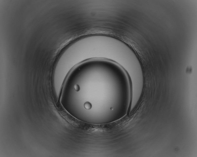 X0000091060352200708271200