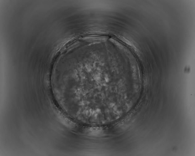 X0000091060353200708271200