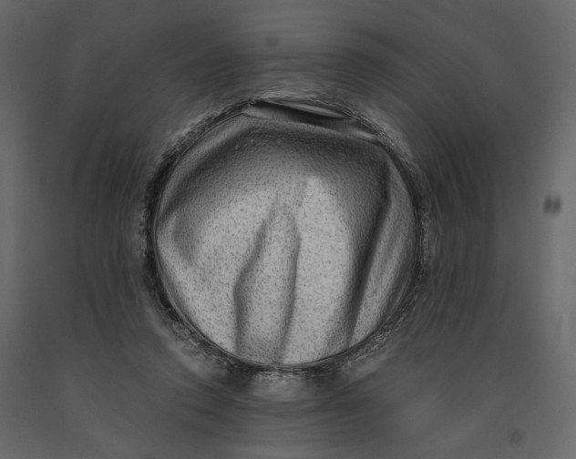 X0000091060354200708271200