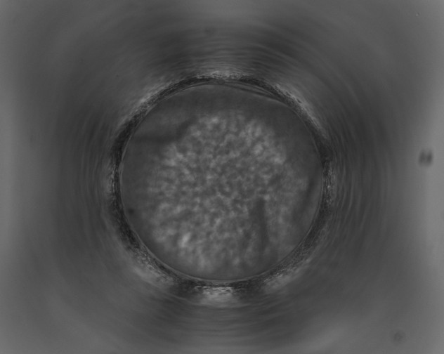X0000091060355200708271200