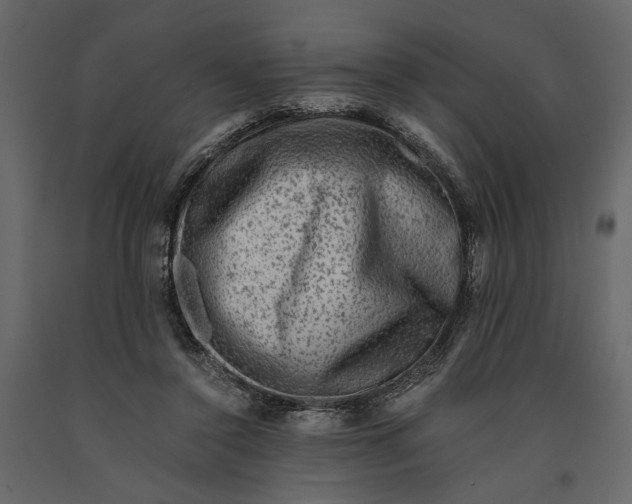 X0000091060356200708271200