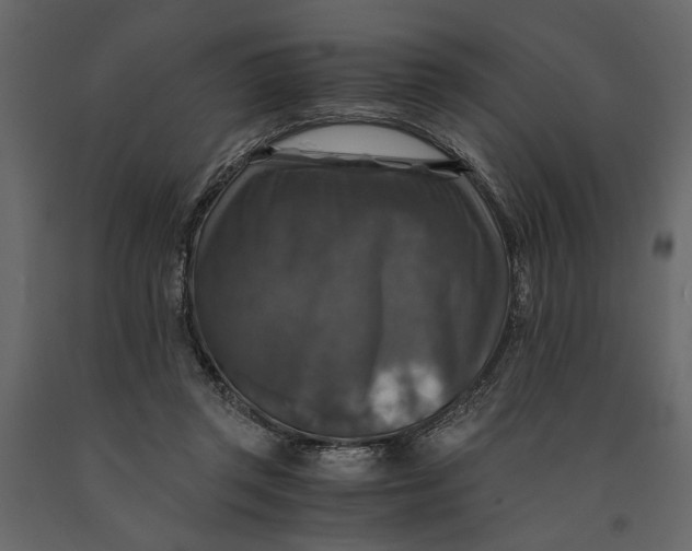 X0000091060357200708271200