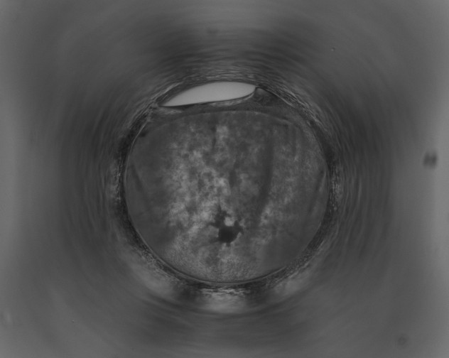 X0000091060359200708271200