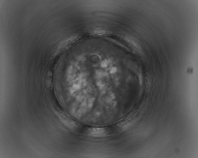 X0000091060361200708271200