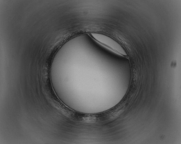 X0000091060362200708271200
