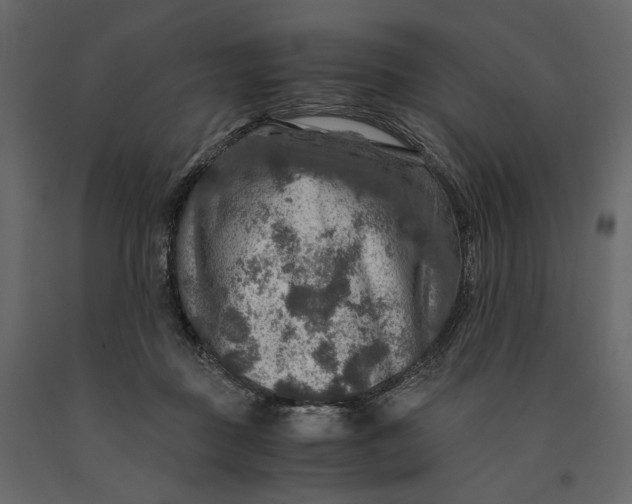 X0000091060363200708271200