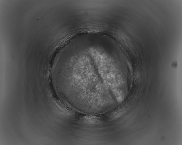 X0000091060367200708271200