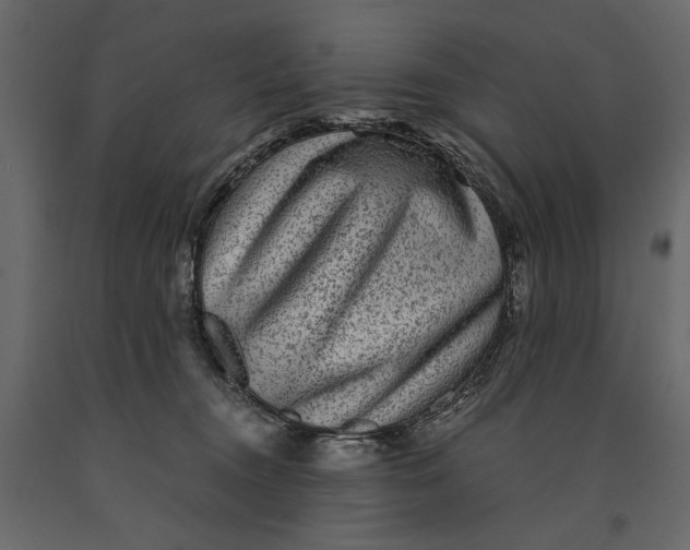 X0000091060372200708271200