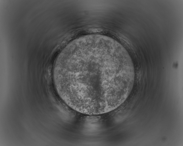 X0000091060373200708271200