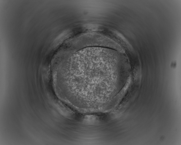 X0000091060376200708271201