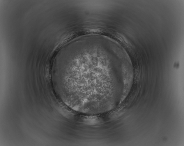 X0000091060377200708271201