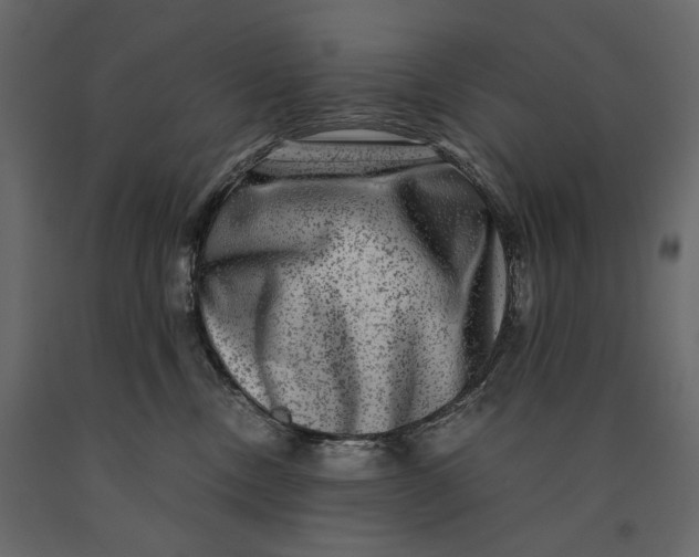 X0000091060378200708271201
