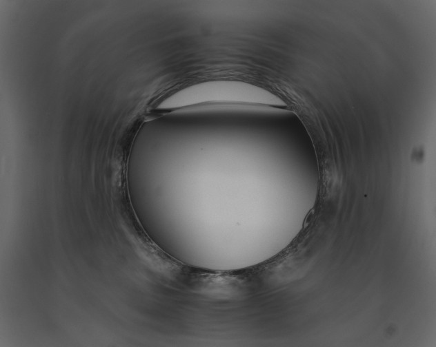 X0000091060379200708271201