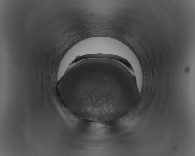 X0000091060380200708271201