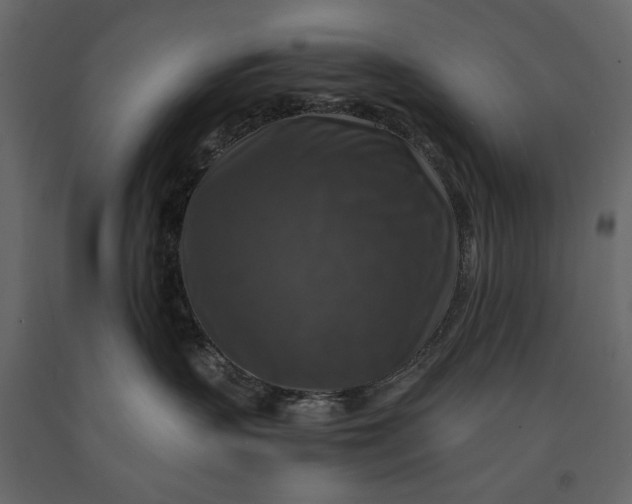 X0000091060383200708271201