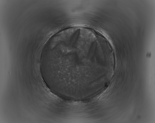 X0000091060385200708271200