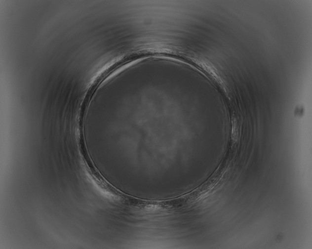 X0000091060390200708271200