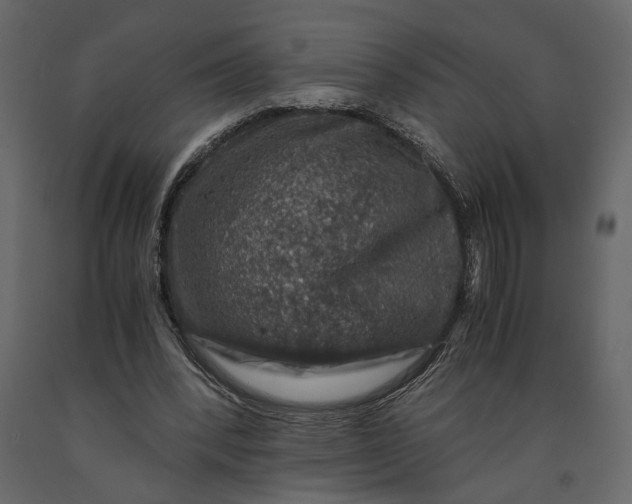 X0000091060392200708271200