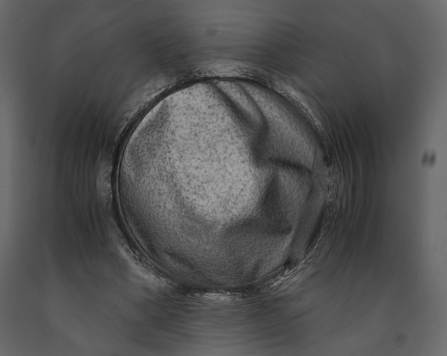 X0000091060394200708271200
