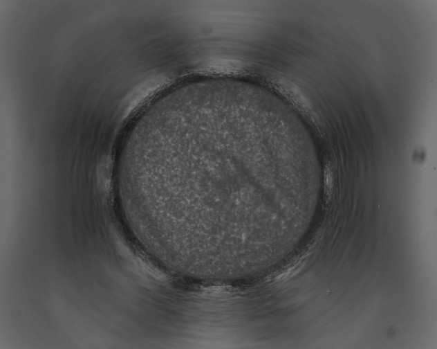 X0000091060396200708271200