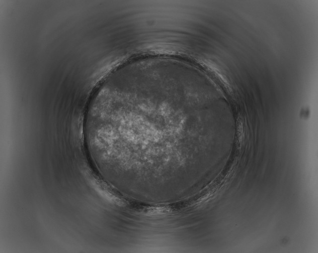 X0000091060398200708271200
