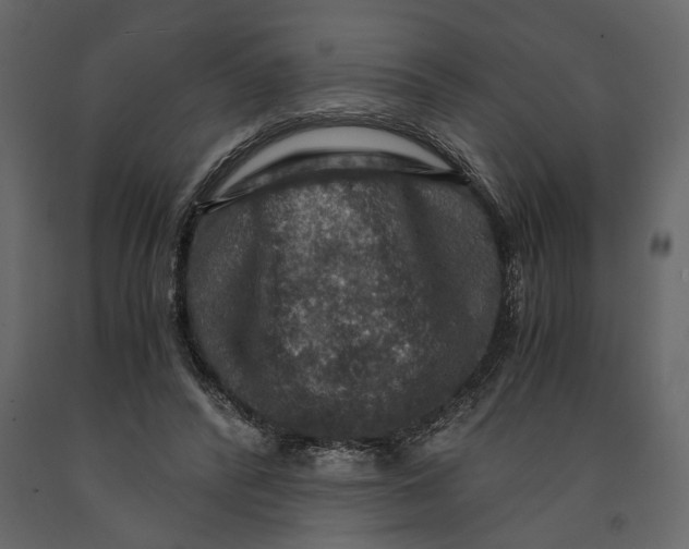 X0000091060400200708271200