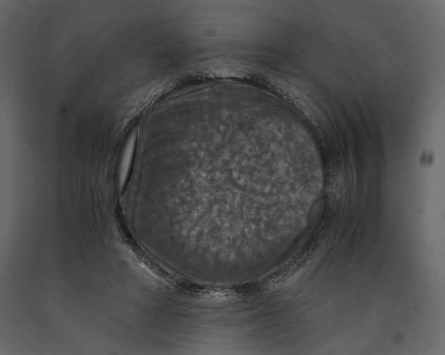 X0000091060402200708271200