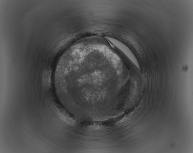 X0000091060404200708271200