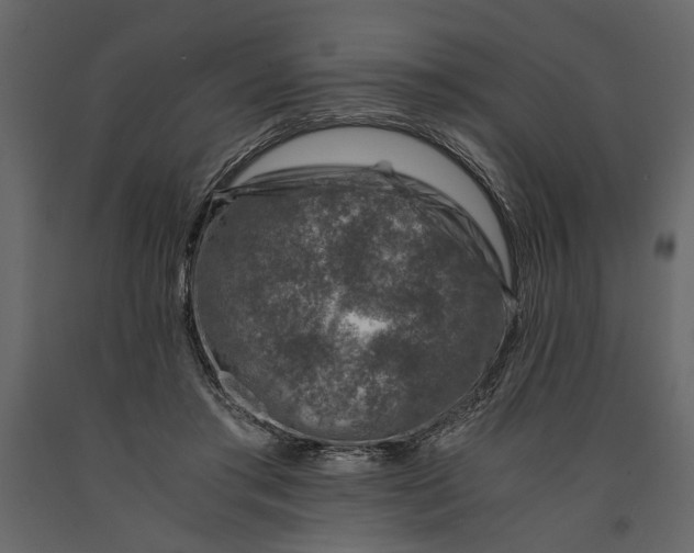 X0000091060405200708271200