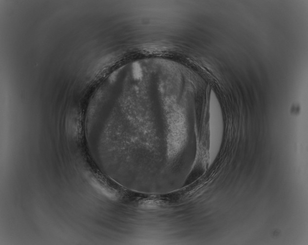 X0000091060408200708271200