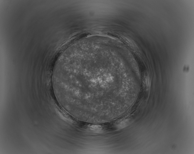 X0000091060409200708271200