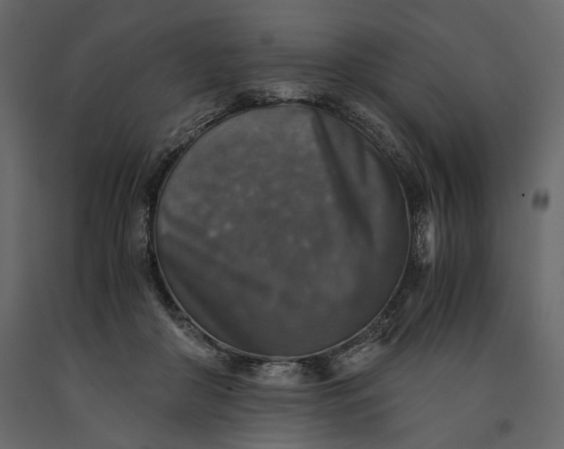 X0000091060410200708271200