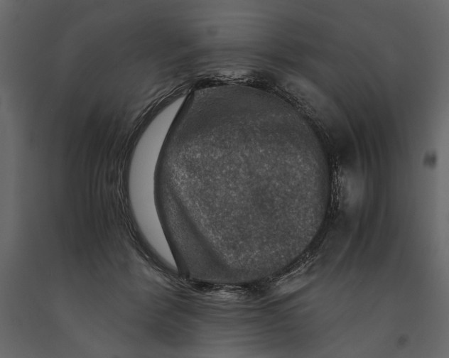 X0000091060412200708271200