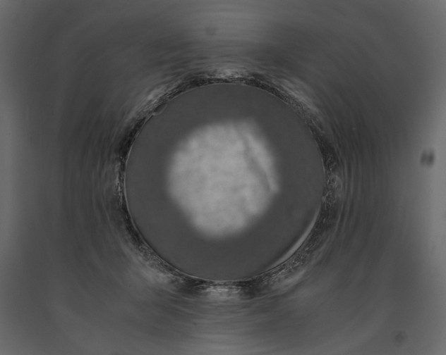 X0000091060415200708271159
