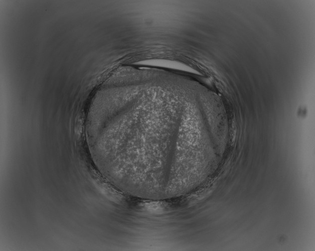 X0000091060417200708271159