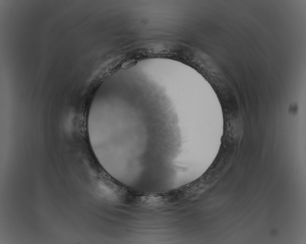 X0000091060419200708271159