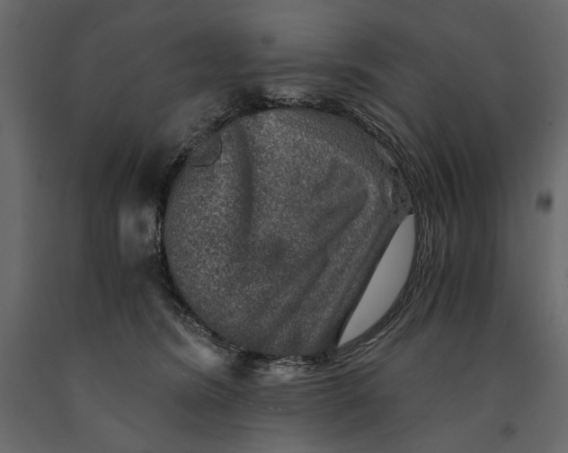 X0000091060420200708271159