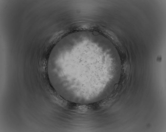 X0000091060423200708271159