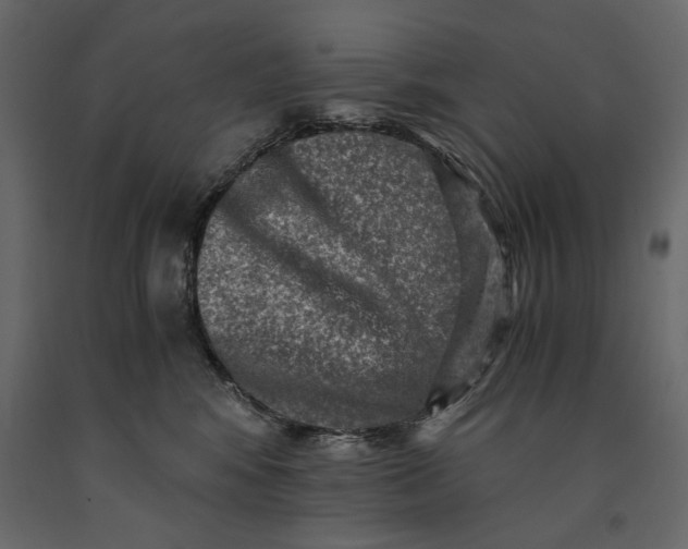 X0000091060424200708271159