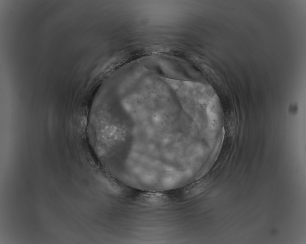 X0000091060427200708271159