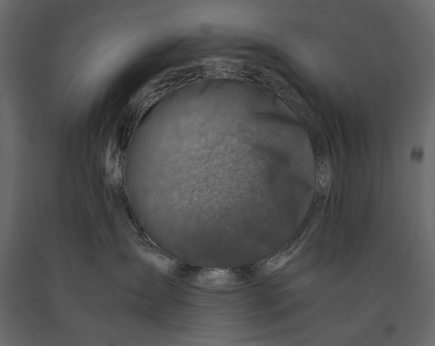 X0000091060431200708271159