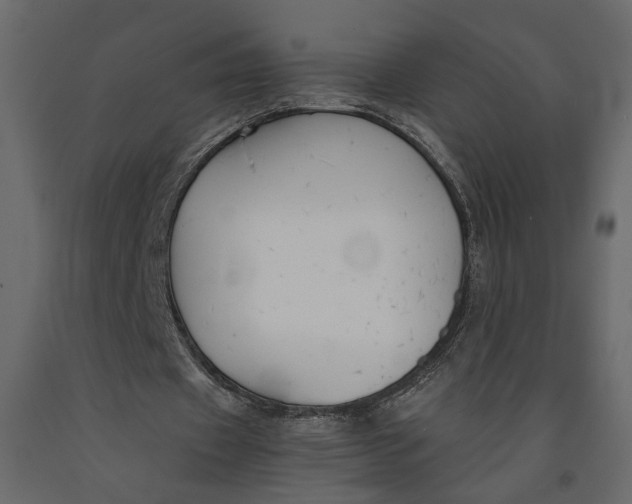 X0000091060433200708271159