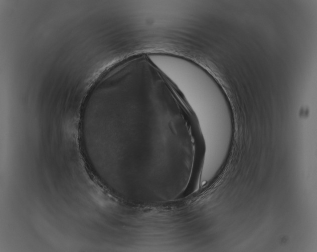 X0000091060434200708271159