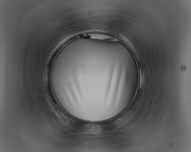 X0000091060435200708271159