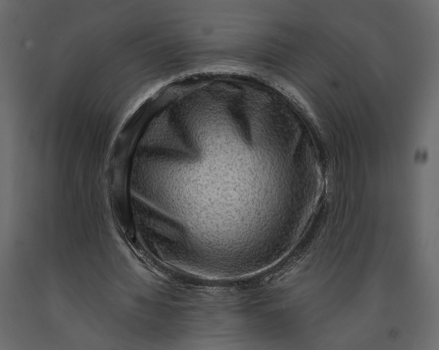 X0000091060436200708271159