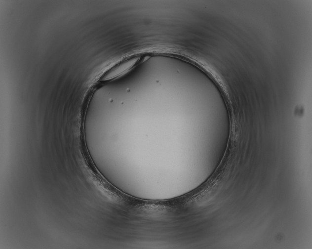 X0000091060437200708271159