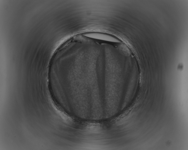 X0000091060438200708271159