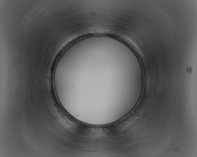 X0000091060439200708271159