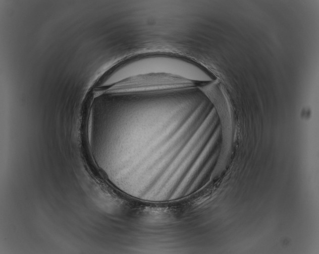 X0000091060440200708271159